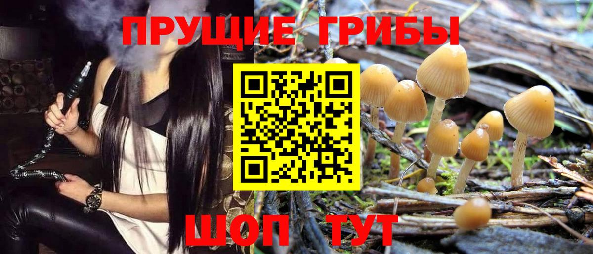 Белогорск  Галлюциногенные грибы Psilocybe  Псилоцибиновые грибы Magic Shrooms  Вход с VPN 