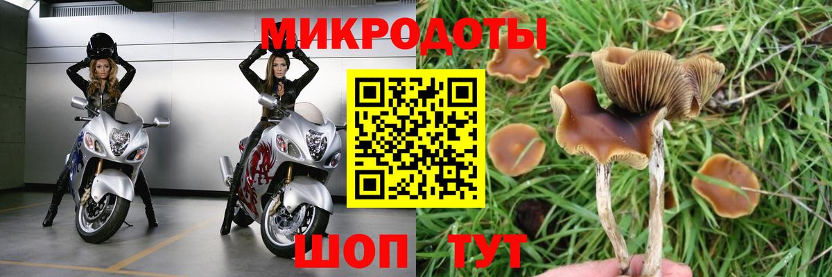 Псилоцибиновые грибы Magic Shrooms Белогорск